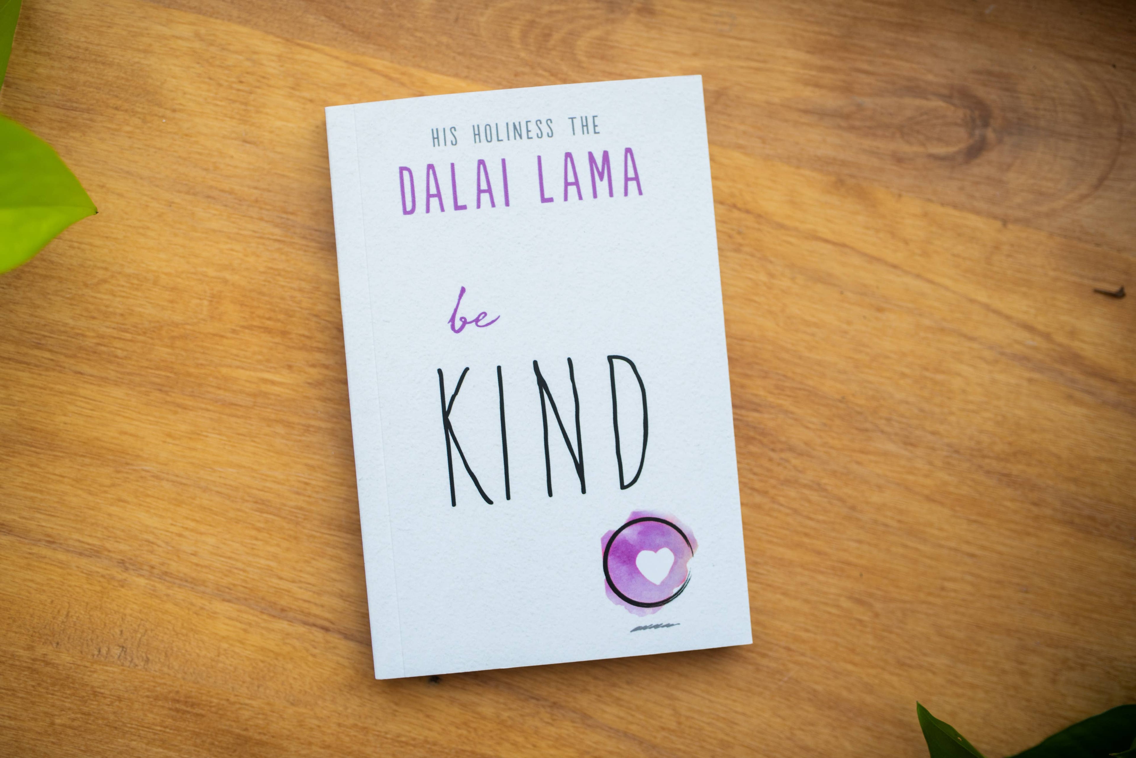 Book titled 'be KIND' by Dalai Lama on a wooden surface