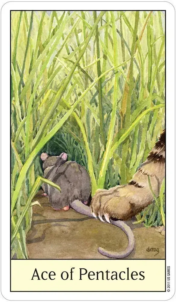 Cat's Eye Tarot