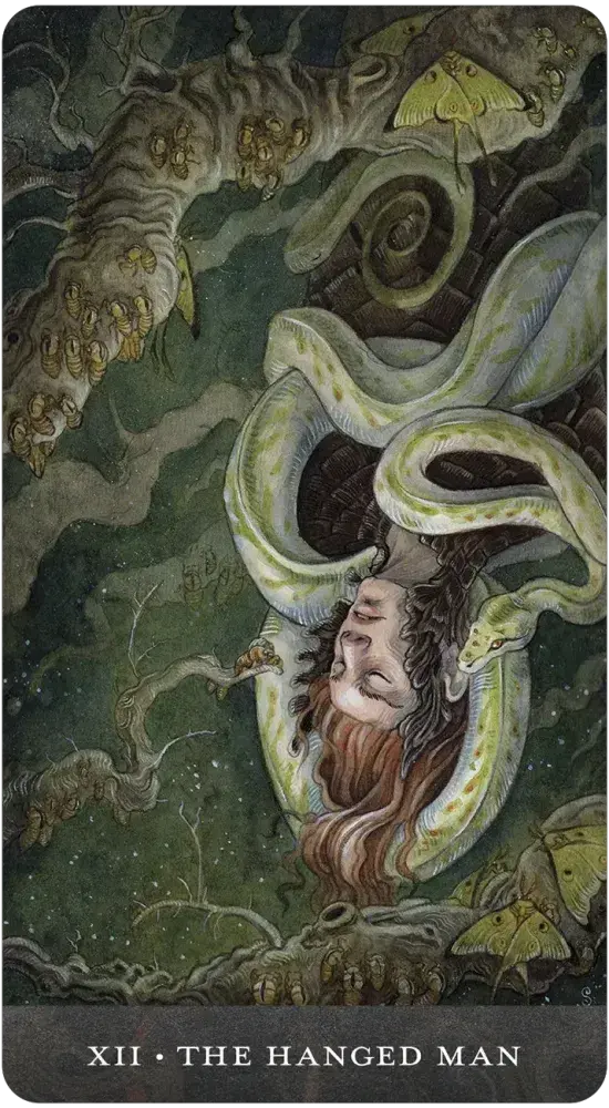 Tarot card titled 'The Hanged Man' with a mystical design featuring a person hanging from a tree with a snake wrapped aroung them.