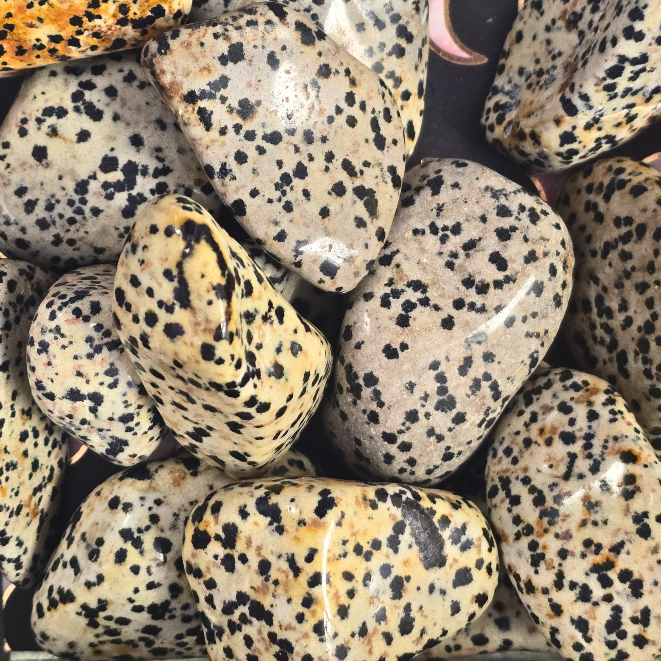 A pile of tumbled dalmation stone