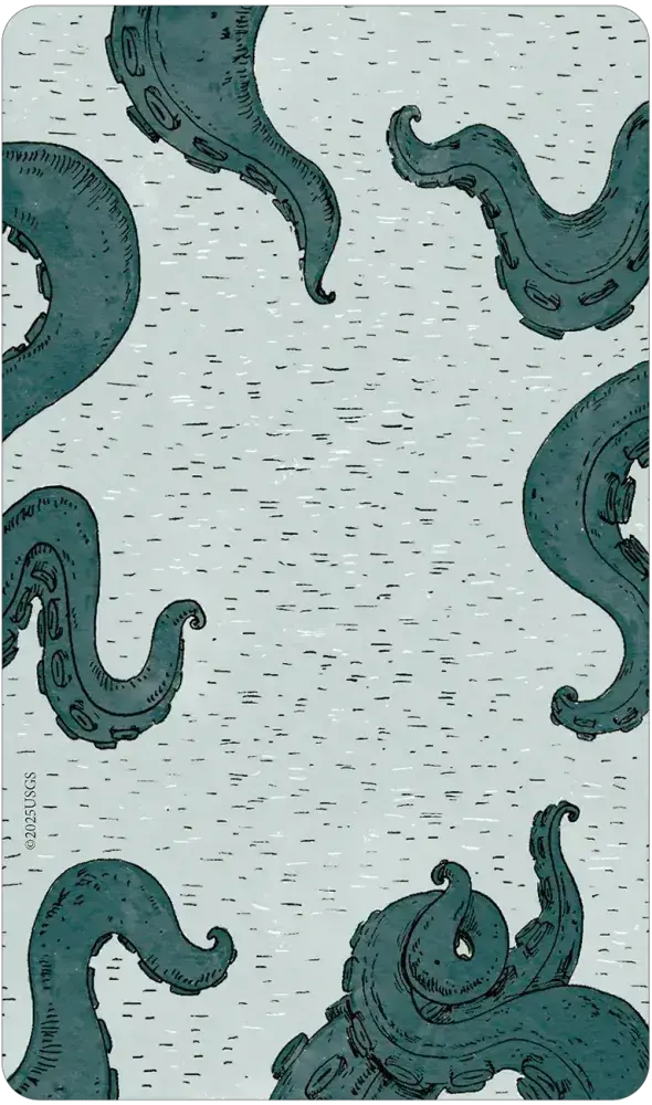 Patterned notebook cover with teal octopus tentacles on a light blue background