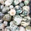 A pile of tumbled tree agate