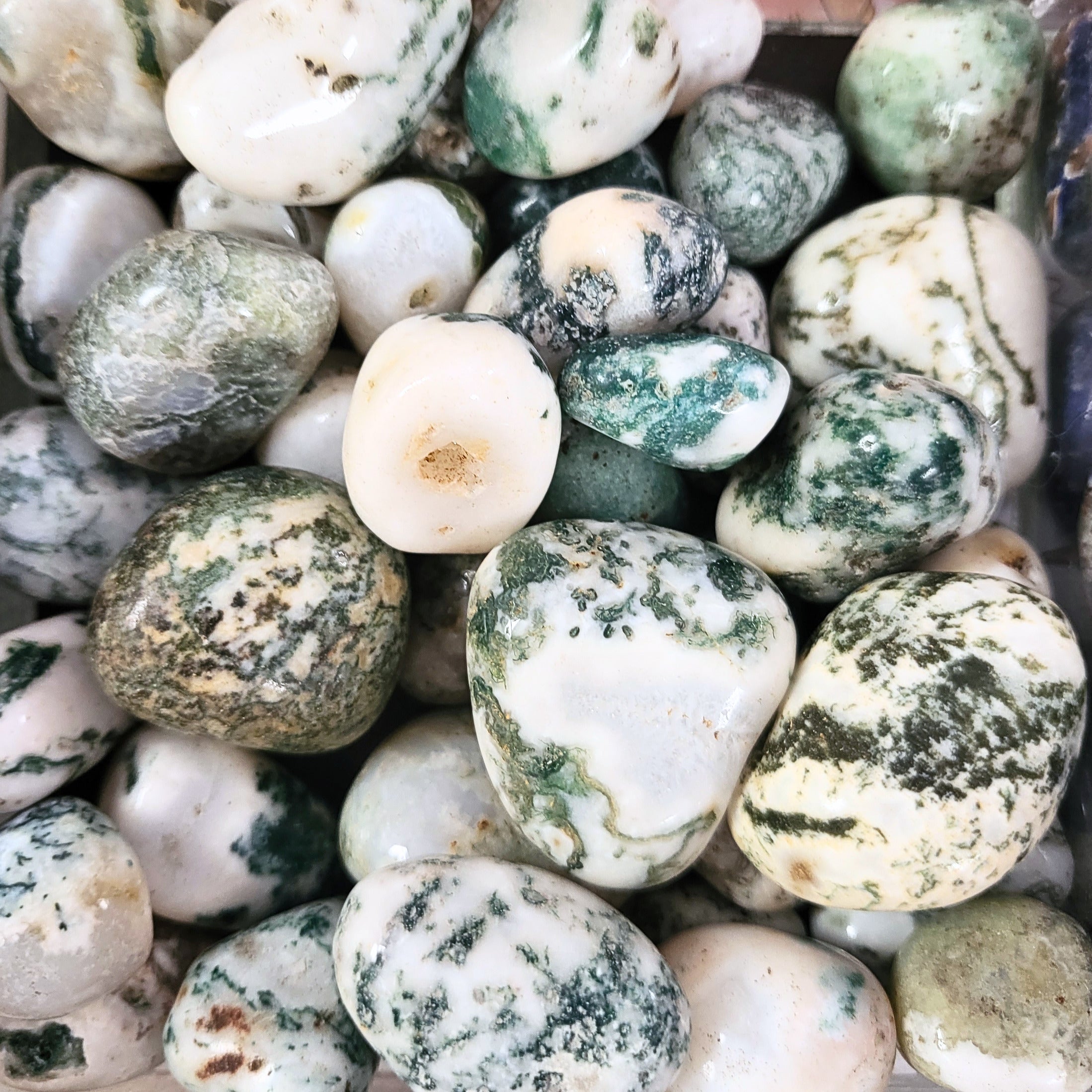 A pile of tumbled tree agate