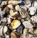 Zebra Jasper- Tumbled