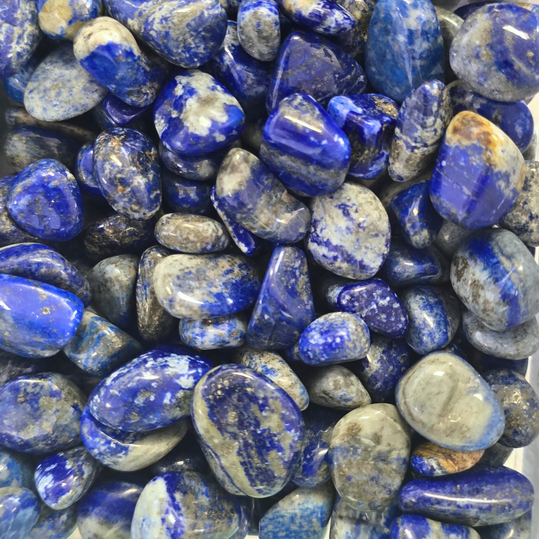 A pile of blue Lapis Lazuli tumbles 