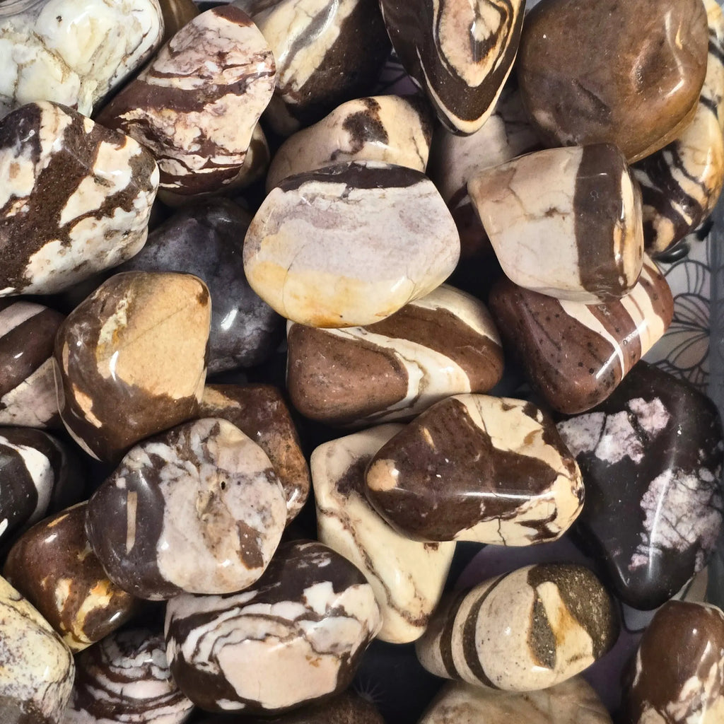A pile of tumbled zebra jasper