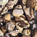 A pile of tumbled zebra jasper
